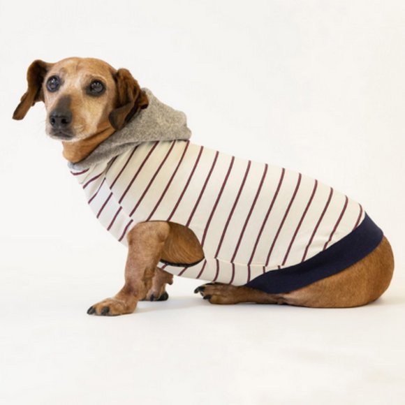 The Long Dog Company Sz XL striped reversible dog shirt New w/ Tags - Picture 1 of 6